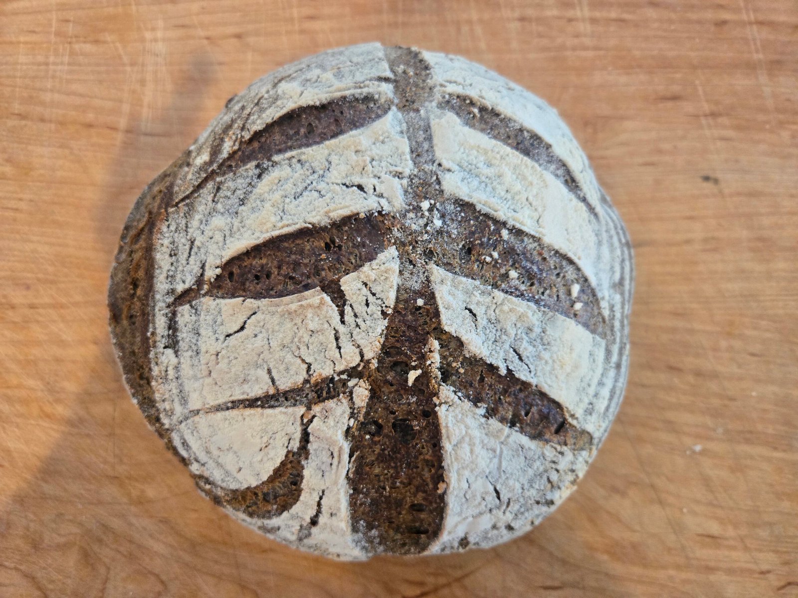 Buckwheat Rosemary GF Sourdough Round – Local Delivery Only